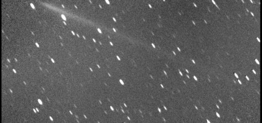 Cometa C/2017 E4 Lovejoy : 30 Aprile 2017