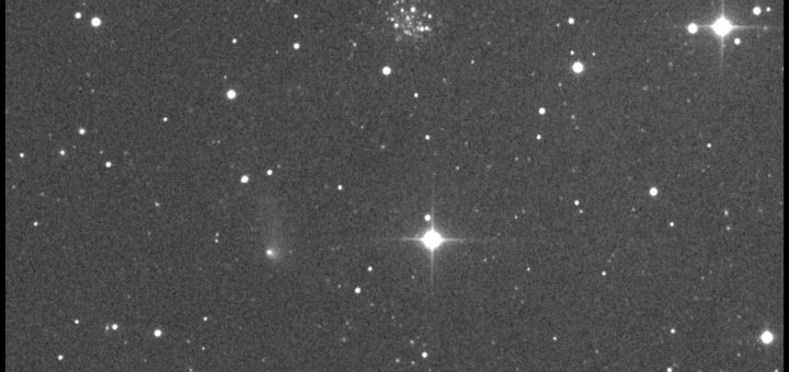 La cometa 315P/Loneos, Palomar 4 e PGC 1846998 - 21 Apr. 2017