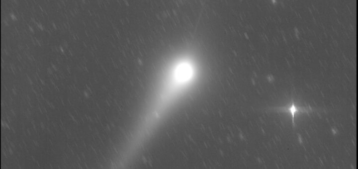 Cometa C/2015 V2 Johnson e la sua anticoda: 28 maggio 201