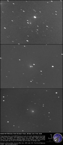 Scopri di più sull'articolo 46/P Wirtanen: la Cometa di Natale 2018 – Prime immagini