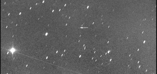 L'asteroide (2999) Dante, ripreso il 2 febbraio 2021.